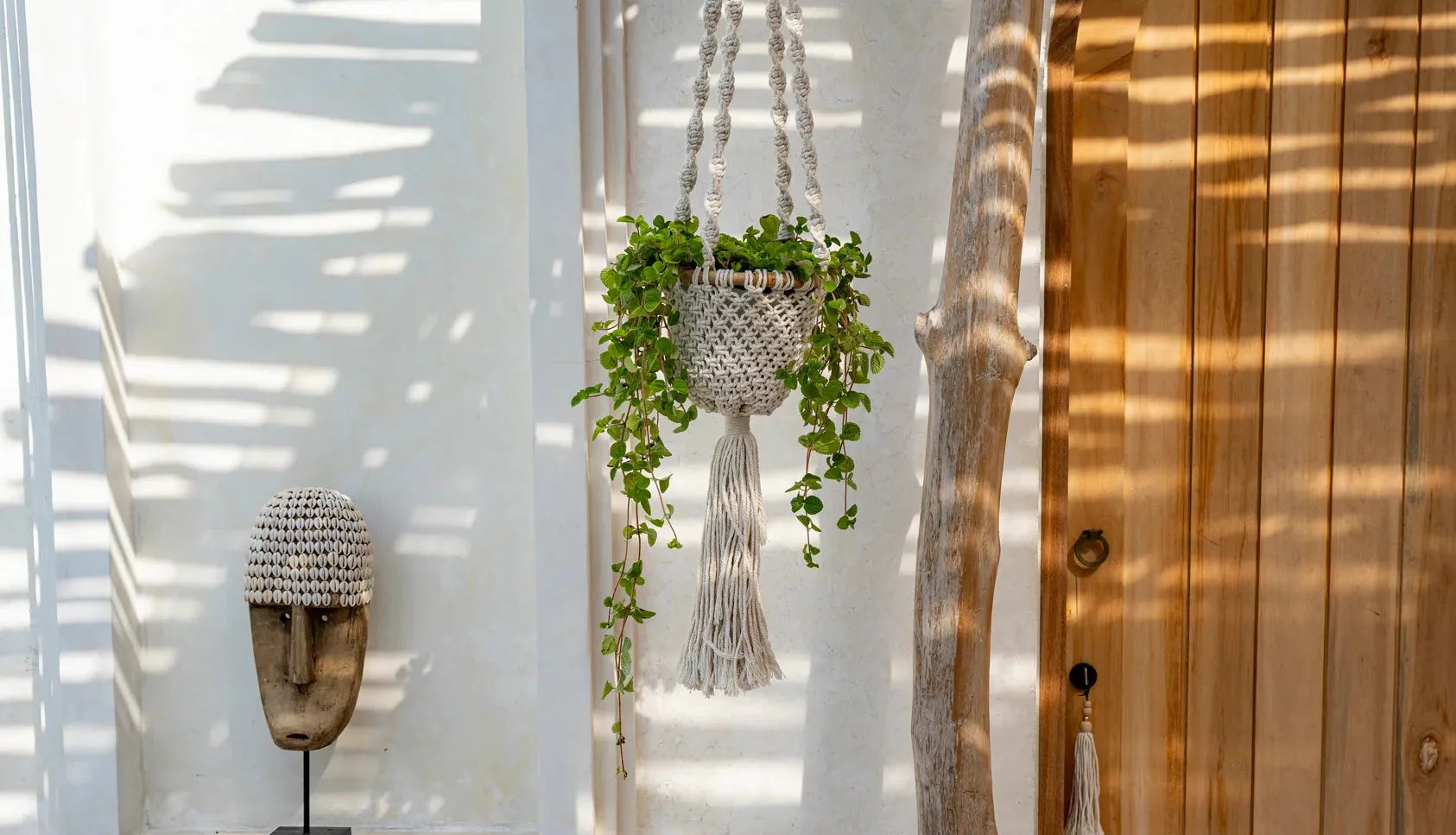 Suspension pour plante en macramé