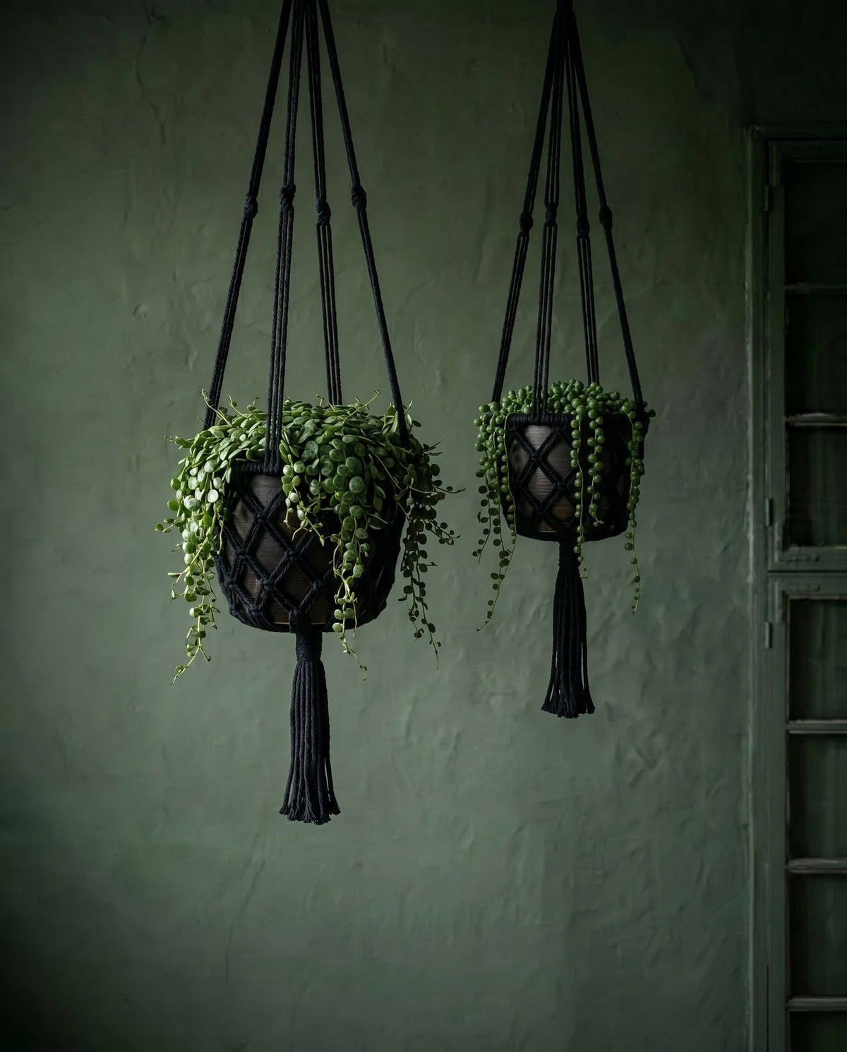 Suspension plante macramé noir en coton tressé avec franges – H100 cm