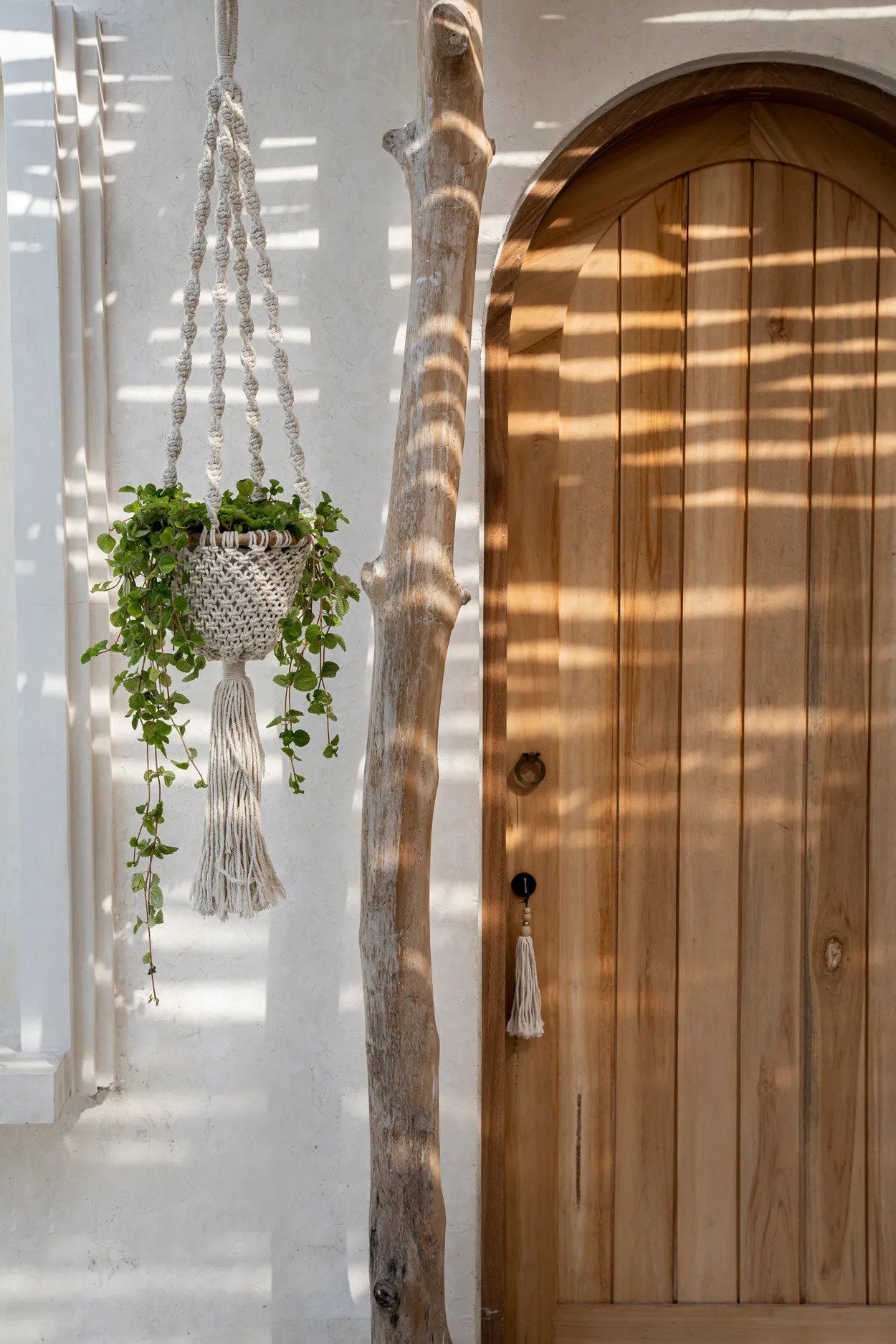 Suspension pour plante en macramé torsadé coton blanc naturel – H135 cm