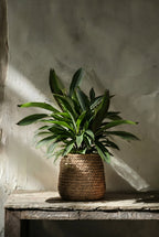 Cache-pot en béton tressé beige pour plantes – 26x25 cm