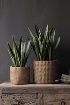 Cache-pot tressé béton beige pour plantes grandes tailles – Ø26 cm