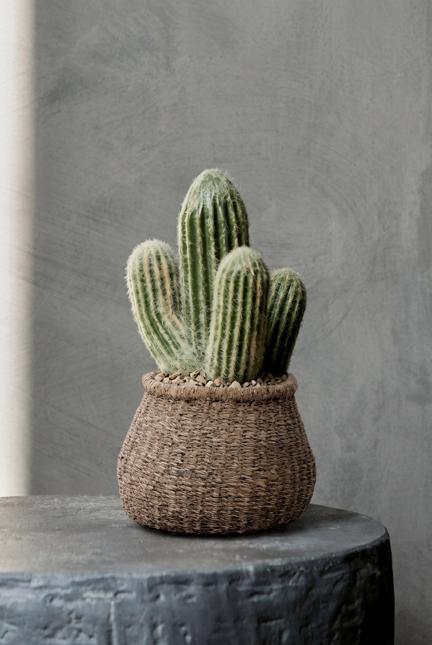 Cache-pot artisan marron en ciment pour plantes indoor