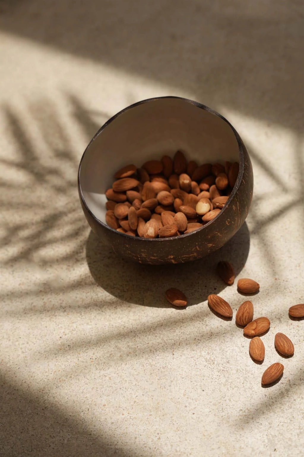 Bol coco naturel blanc artisanal Ø13 cm avec un bol en coque de noix de coco rempli d’amandes