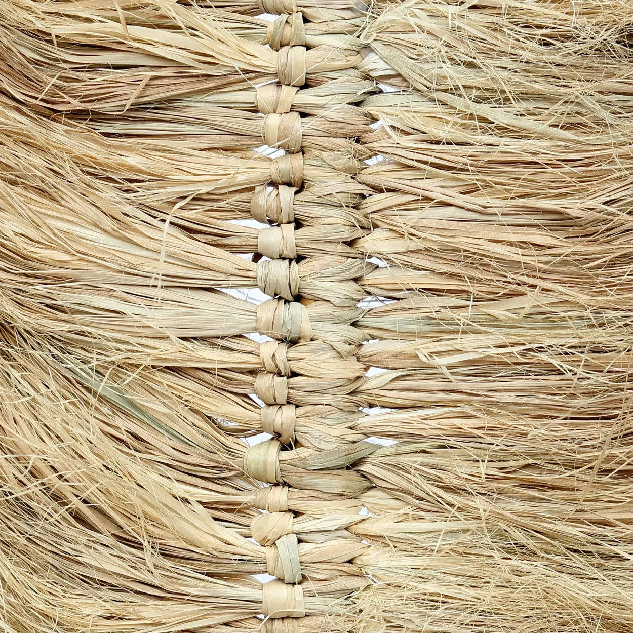 Lot de 6 branches déco en raphia et palmier naturel avec des fibres tissées