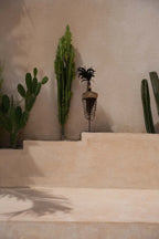 Arrangement décoratif de cactées et sculpture plume sur socle noir naturel