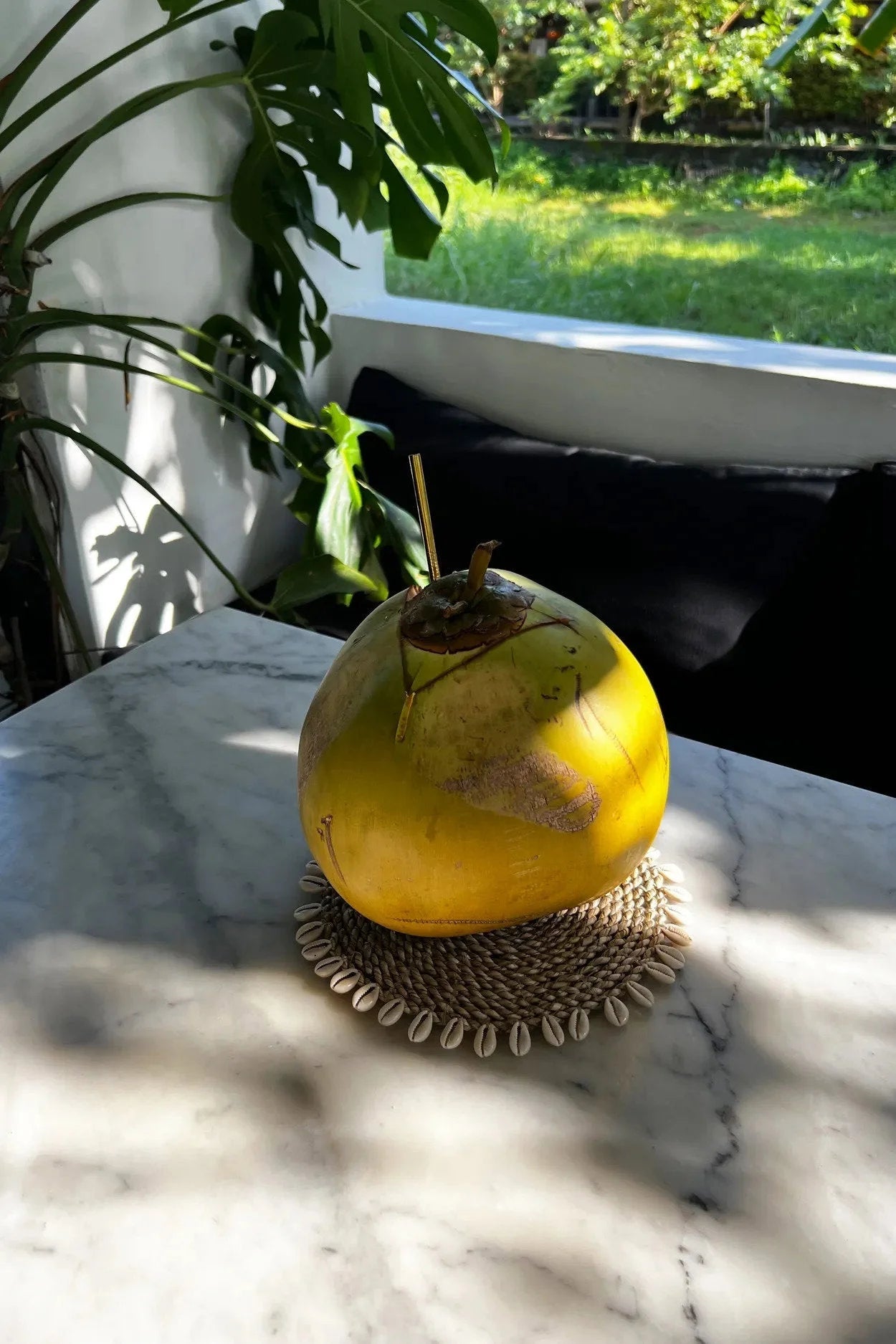 Cocotier jaune vert avec paille, prêt à boire, pour la décoration Dessous de plat rond