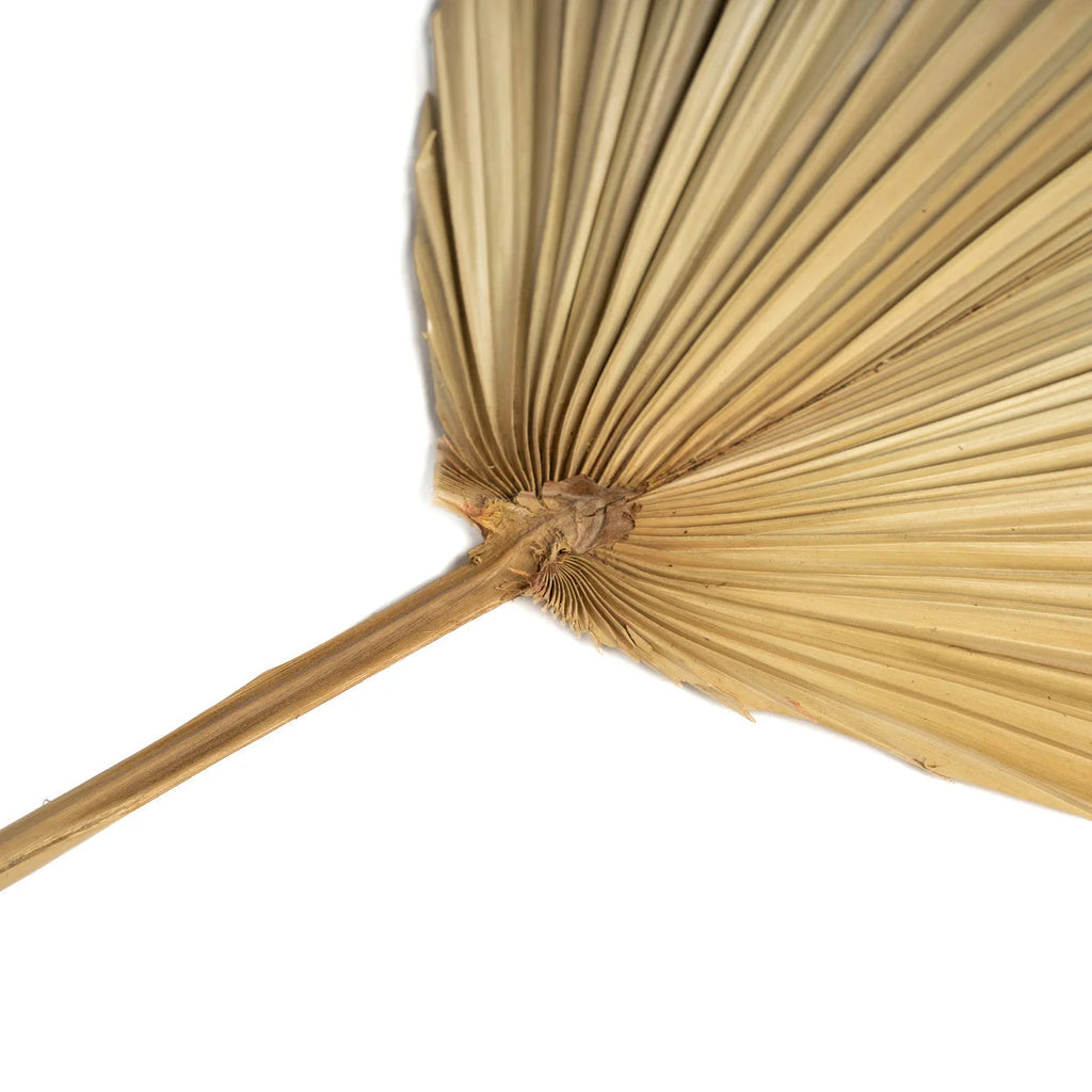 Feuilles décoratives en rotin naturel – H120 cm