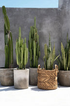 Panier de rangement cylindrique en feuilles de bananier tressées naturel – H34 cm