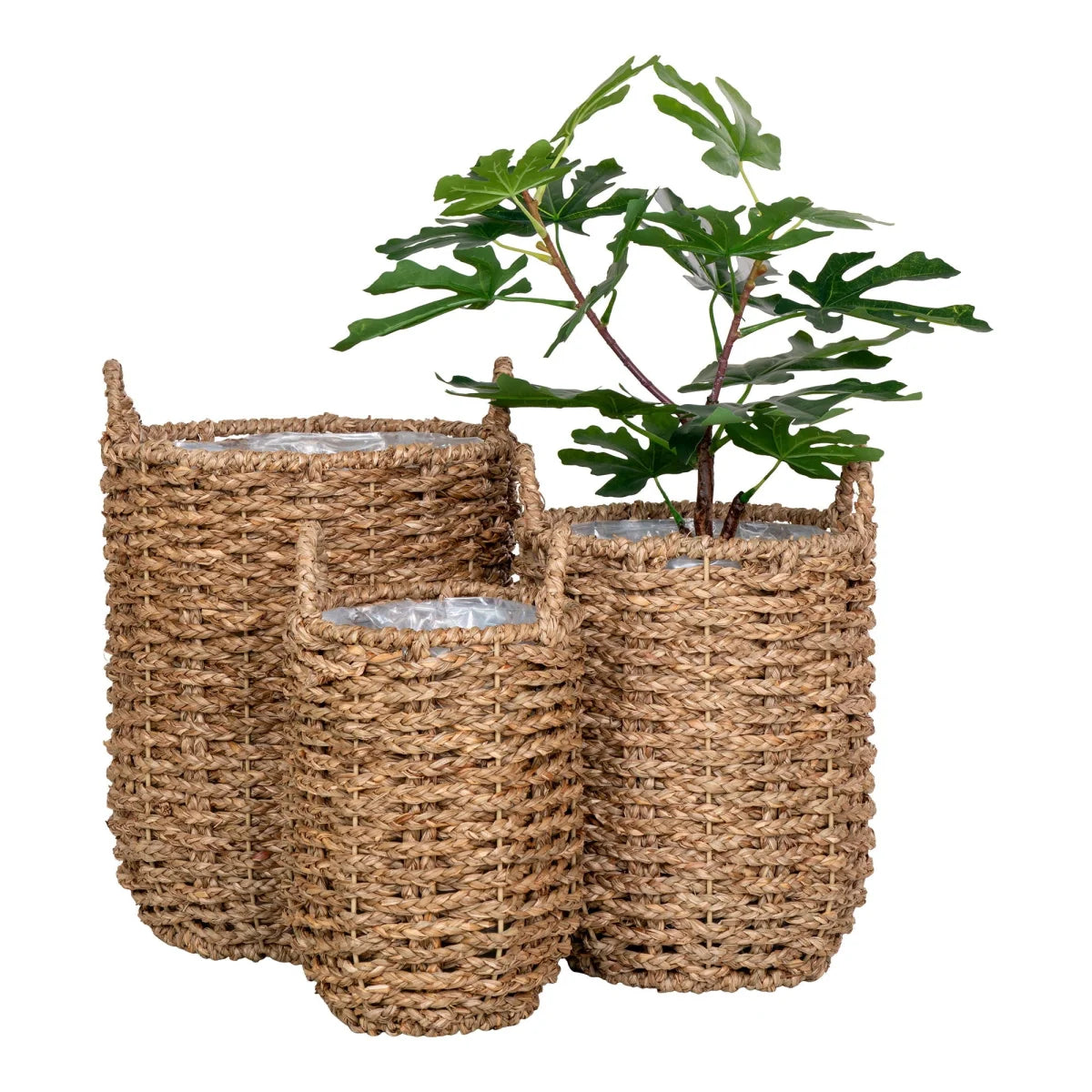 Lot de 3 paniers ronds en jonc de mer naturel tissé avec anses et doublure plastique