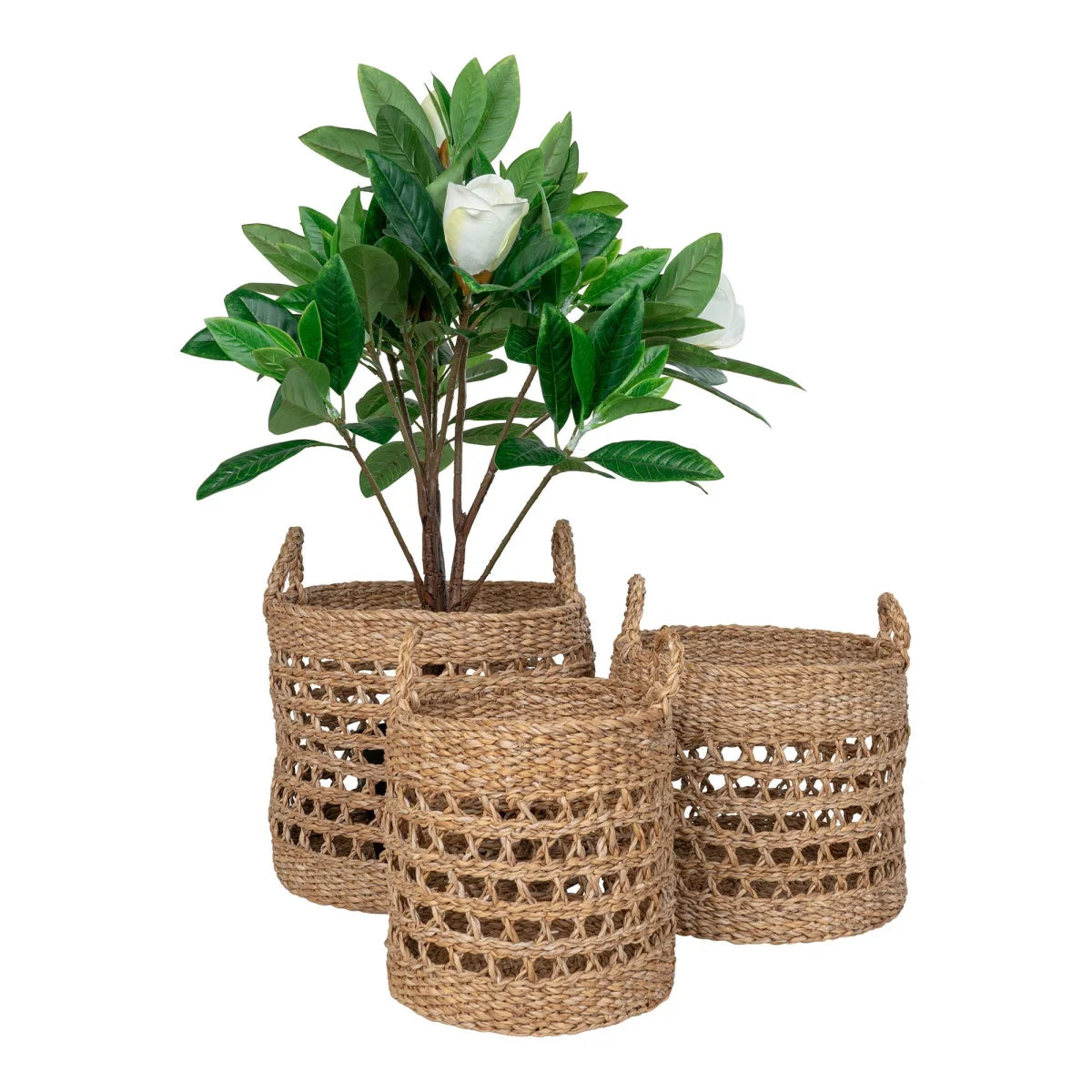 Ensemble de 3 paniers de rangement en jonc de mer naturel avec poignées et plantes de magnolia artificielles