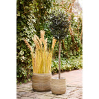 Lot de 2 paniers en rotin kubu naturel 35 cm avec pampa dorée et arbre
