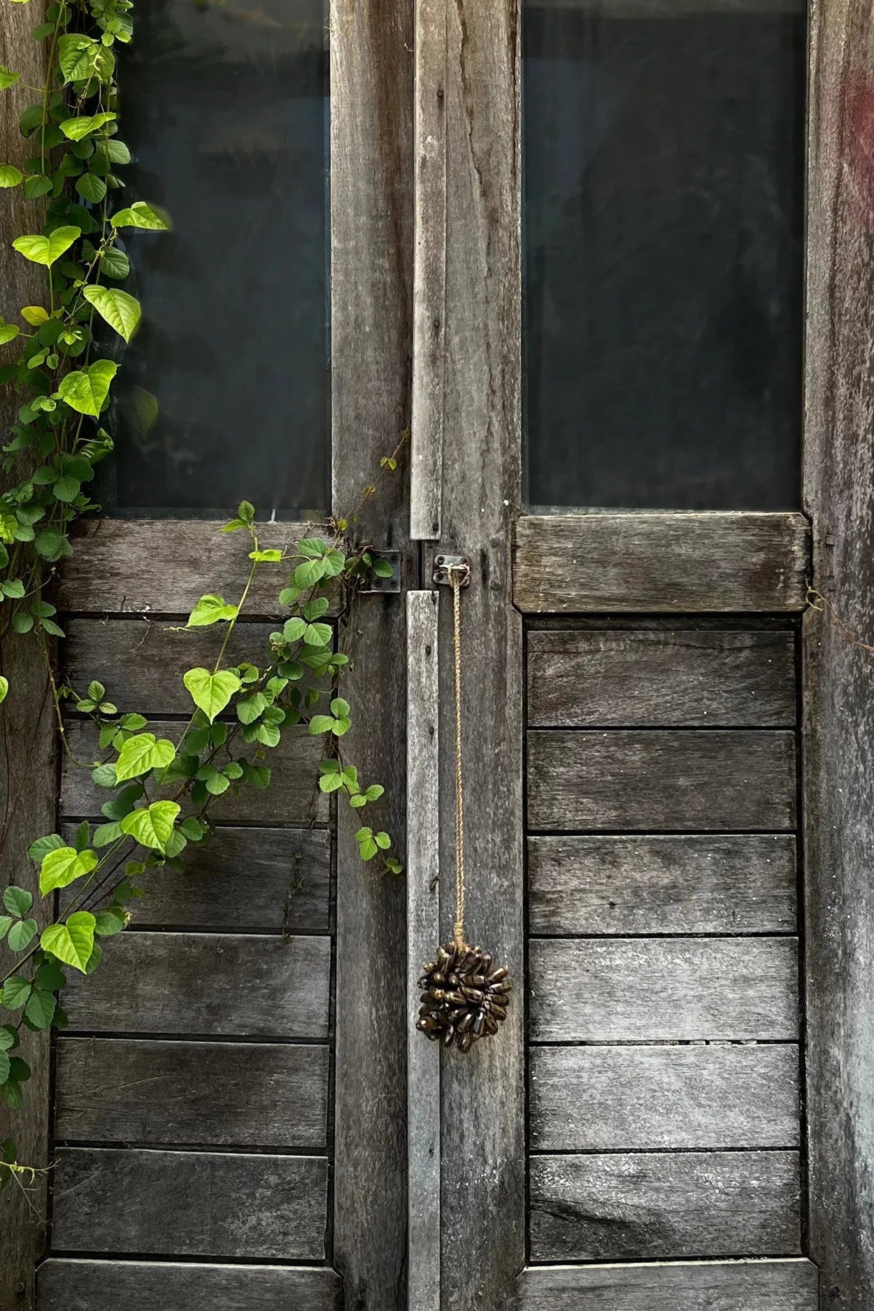 Porte en bois vieillie avec panneaux en verre et bouton décoration en pomme de pin