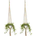 Deux plantes en pot suspendues dans un macramé en corde pour plantes en lot de 6