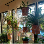 Suspension plante macramé en corde blanche avec plantes suspendues pour décoration intérieure