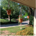 Plantes suspendues en pot dans une suspension macramé en corde blanche