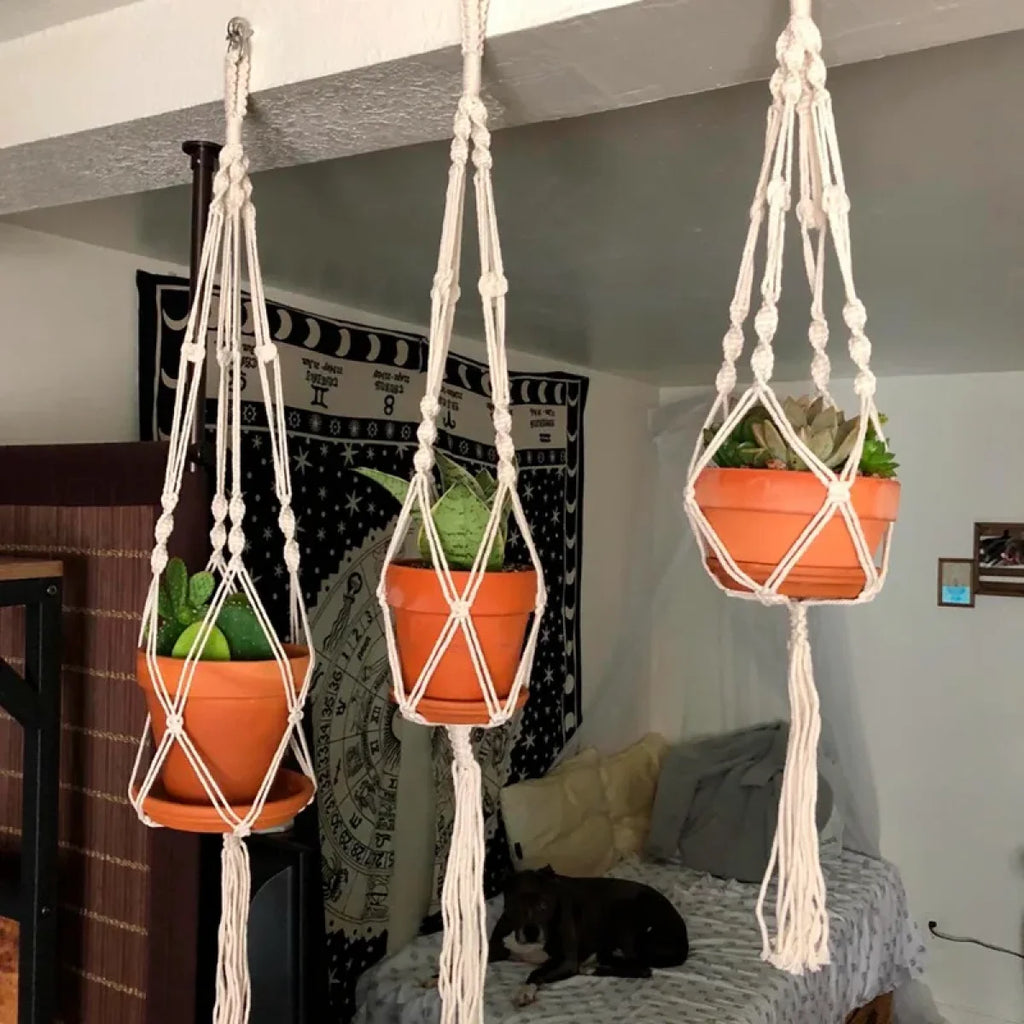 Trois suspensions en macramé pour plantes en corde blanche décoration intérieure