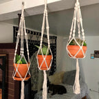 Trois suspensions en macramé pour plantes en corde blanche décoration intérieure