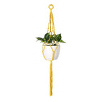 Suspension plante en macramé jaune avec pot de plantes moderne et tressée