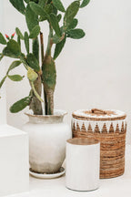 Prickly pear cactus en pot avec fruits naissants, associé au tabouret rond en bois massif blanc naturel fait main