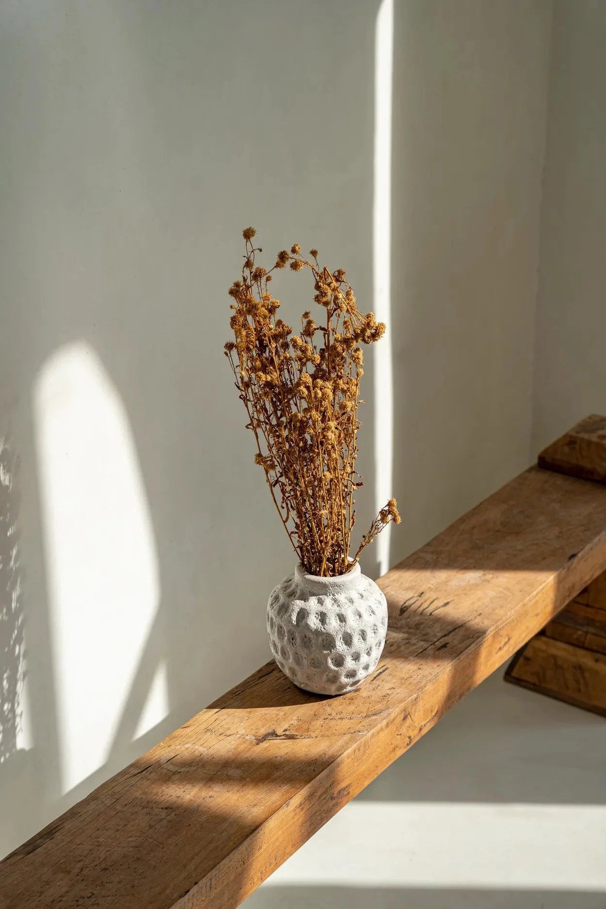 Vase rond en terre cuite effet béton gris avec fleurs séchées brunes